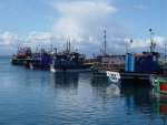 Kalk Bay fishing boats